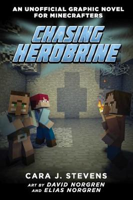 Book cover for Chasing Herobrine
