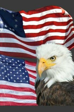 Cover of Betsy Ross Flag And Modern American Flag With Bald Eagle