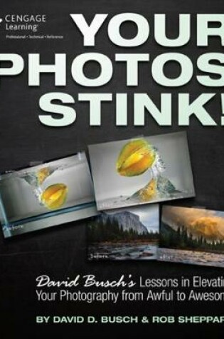 Cover of Your Photos Stink!