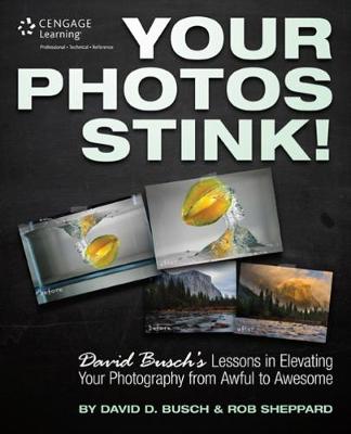 Book cover for Your Photos Stink!