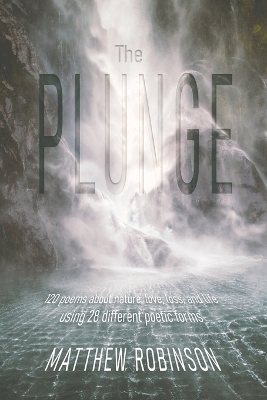 Book cover for The Plunge