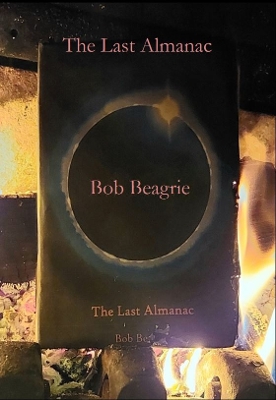 Book cover for The Last Almanac