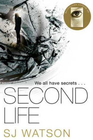 Cover of Second Life