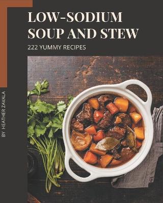 Book cover for 222 Yummy Low-Sodium Soup and Stew Recipes