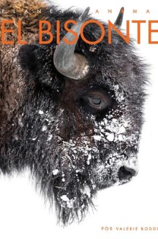 Cover of El Bisonte