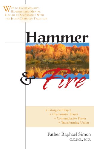 Book cover for Hammer & Fire