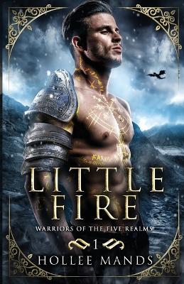 Cover of Little Fire