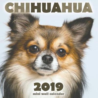 Book cover for Chihuahua 2019 Mini Wall Calendar