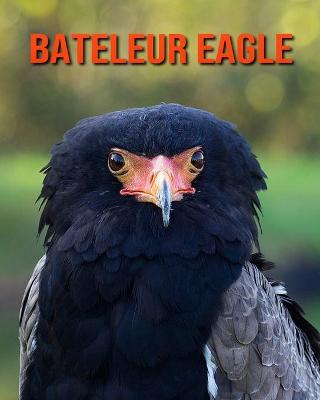 Book cover for Bateleur Eagle