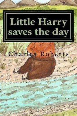 Book cover for Little Harry saves the day