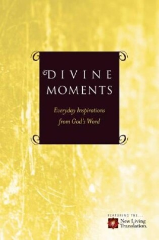 Cover of Divine Moments