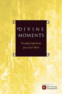 Book cover for Divine Moments