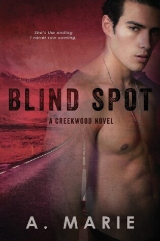 Cover of Blind Spot