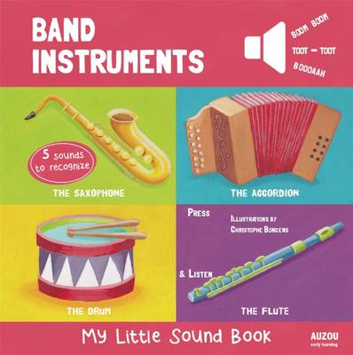Book cover for Band Instruments