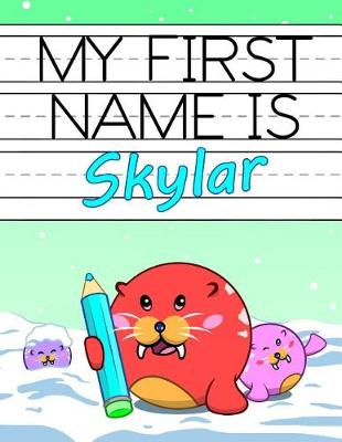 Book cover for My First Name is Skylar