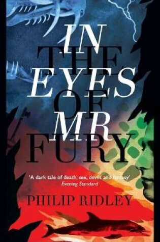 Cover of In the Eyes of Mr Fury