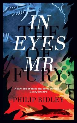 Book cover for In the Eyes of Mr Fury