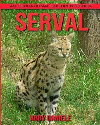 Book cover for Serval! An Educational Children's Book about Serval with Fun Facts & Photos