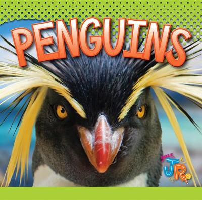 Book cover for Penguins