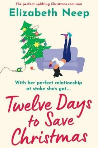 Cover of Twelve Days to Save Christmas