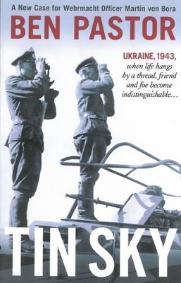 Cover of Tin Sky