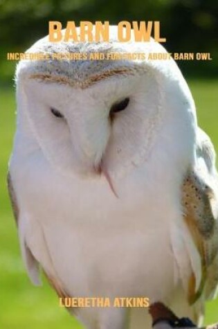 Cover of Barn Owl