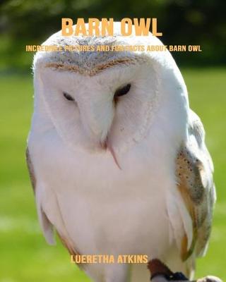 Book cover for Barn Owl