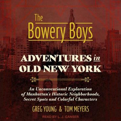 Book cover for The Bowery Boys