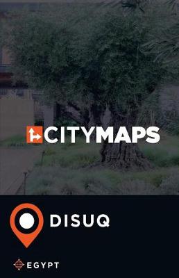 Book cover for City Maps Disuq Egypt