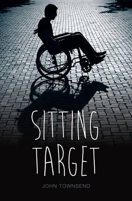 Book cover for Sitting Target