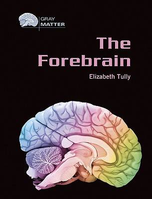 Book cover for The Forebrain