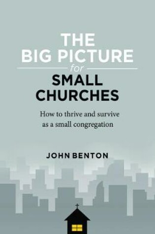 Cover of The Big Picture for Small Churches