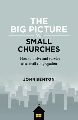 Book cover for The Big Picture for Small Churches