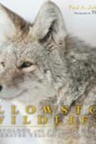 Cover of Yellowstone Wildlife