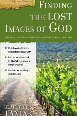 Cover of Finding the Lost Images of God