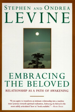 Book cover for Embracing the Beloved