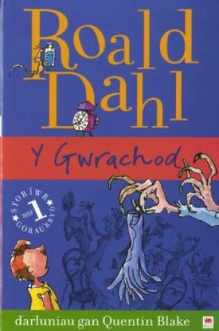 Cover of Y Gwrachod