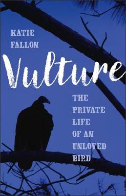 Book cover for Vulture