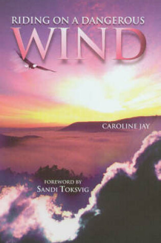 Cover of Riding on a Dangerous Wind