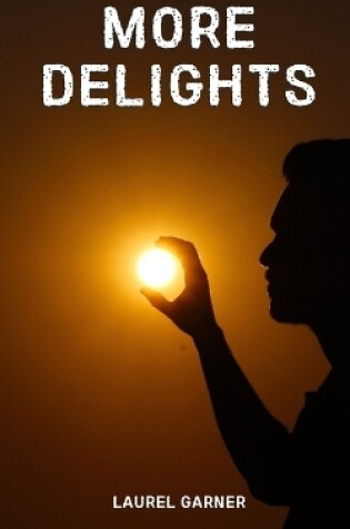 Cover of More Delights