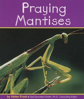 Book cover for Praying Mantises