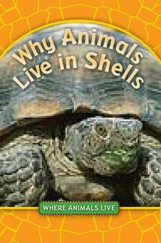 Cover of Why Animals Live in Shells