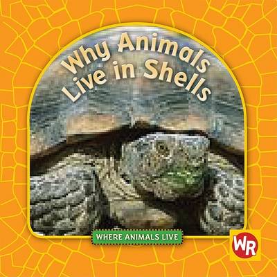 Book cover for Why Animals Live in Shells