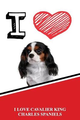 Book cover for I Love Cavalier King Charles Spaniels