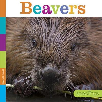 Book cover for Beavers