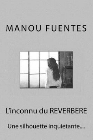 Cover of L'inconnu du REVERBERE