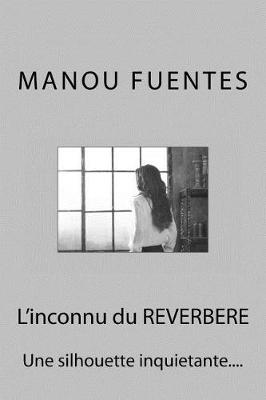 Book cover for L'inconnu du REVERBERE