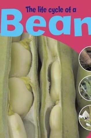 Cover of The Life Cycle Of A Bean