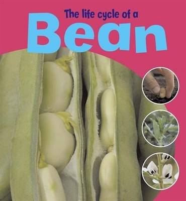 Cover of The Life Cycle Of A Bean