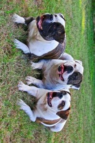 Cover of 3 American Bulldogs Laying in the Grass Journal